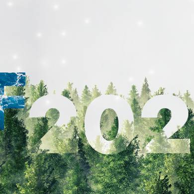 PF 2025
